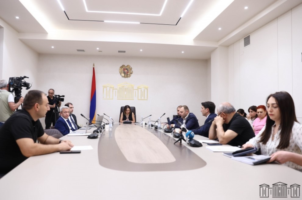 Հանձնաժողովում քննարկվել է ՀՀ հաշվեքննիչ պալատի 2024 թ. գործունեության վերաբերյալ տարեկան հաղորդումը