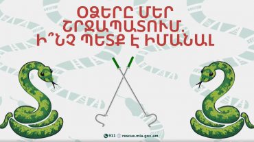 Օձերը մեր շրջապատում. ի՞նչ պետք է իմանալ