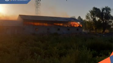 Հրդեհ Գրիբոյեդով գյուղում