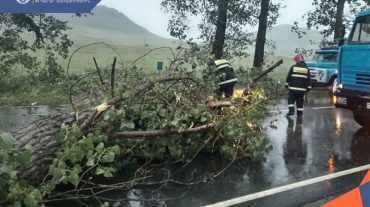 Քամու հետևանքով գրանցվել է արտակարգ 10 դեպք․ փրկարարներն արձագանքել են բոլոր ահազանգերին