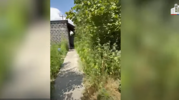 Կանեփի 1000 բույս և 1 կիլոգրամից ավելի մարիխուանա. Արարատի քրեական ոստիկանների բացահայտումը
