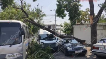 Իսակովի պողոտայում հաստաբուն ծառից ճյուղը կոտրվել և ընկել է կայանված «Ford Transit», «Mercedes» մեքենաների և «Hyundai» ավտոբուսի վրա