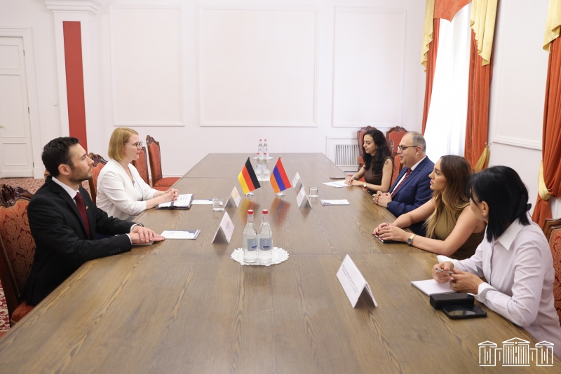 Վլադիմիր Վարդանյանը հանդիպել է Գերմանիայի դեսպանի հետ