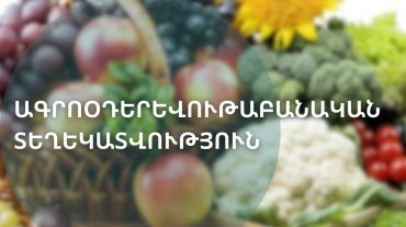 Ներկայացվել է օգոստոսի 11-17-ի ագրոօդերևութաբանական տեղեկատվությունը